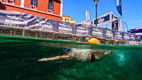Sunday - Oceanman - Swimming -Underwater Photos