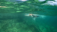 240622CV0031