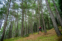 Levados Mountain Trail 2020